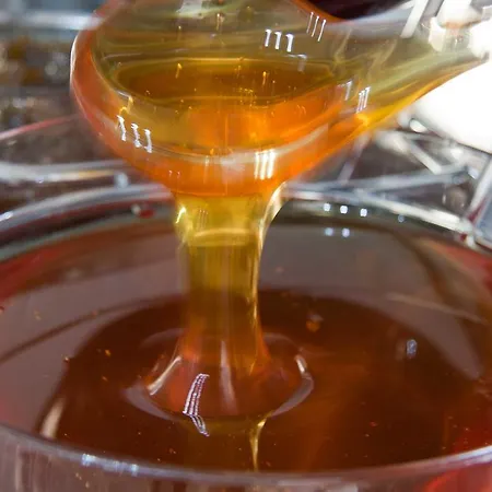 Alk Hotelᵀᴹ 카마레스